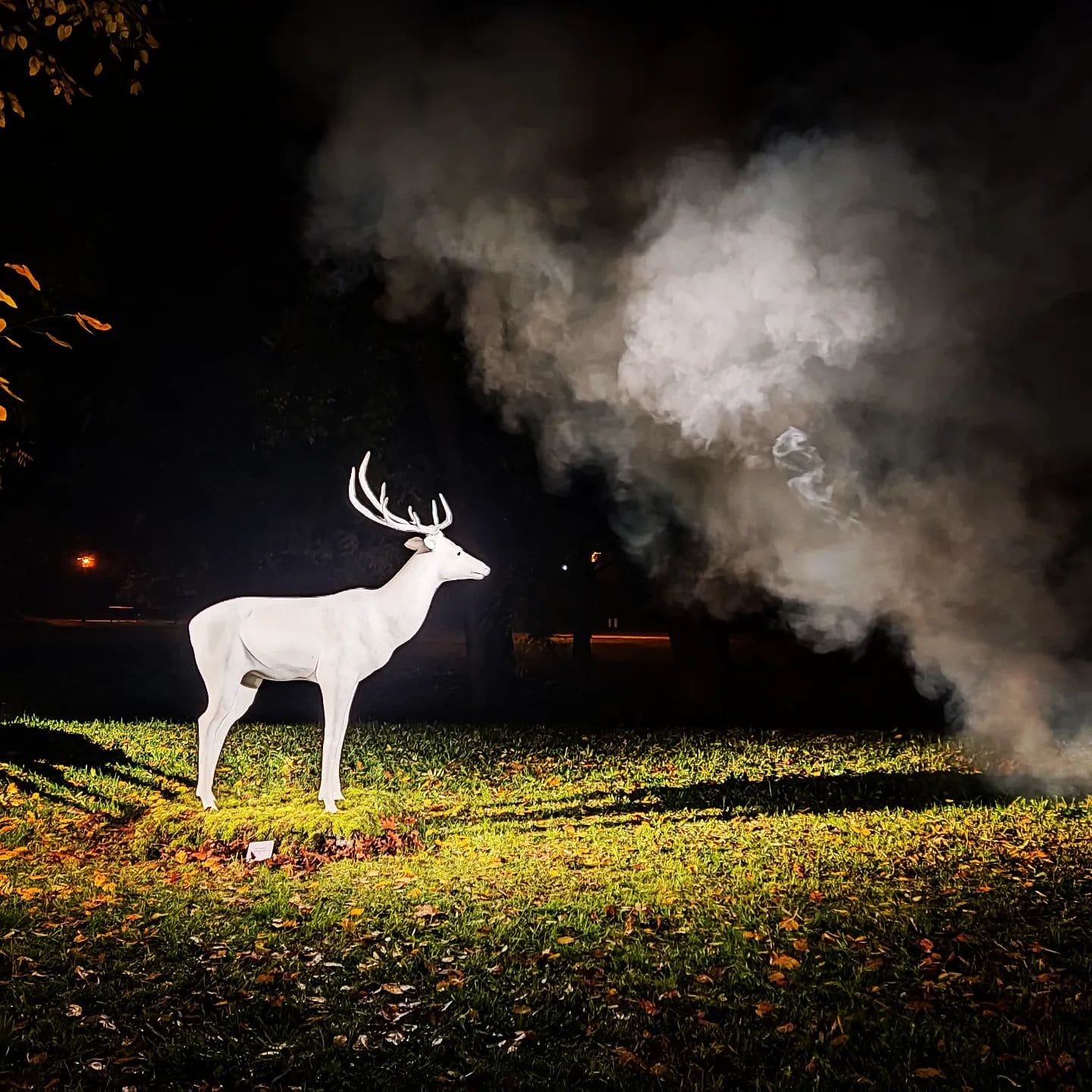 White stag sculpture illuminated in a park at night