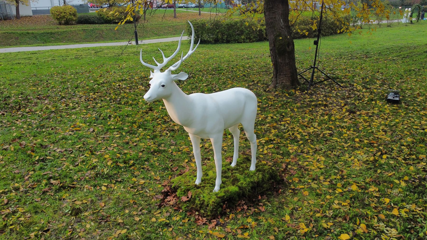 White stag sculpture installed in an autumn park